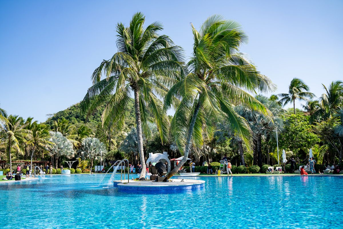 A resort swimming pool lined with palm trees