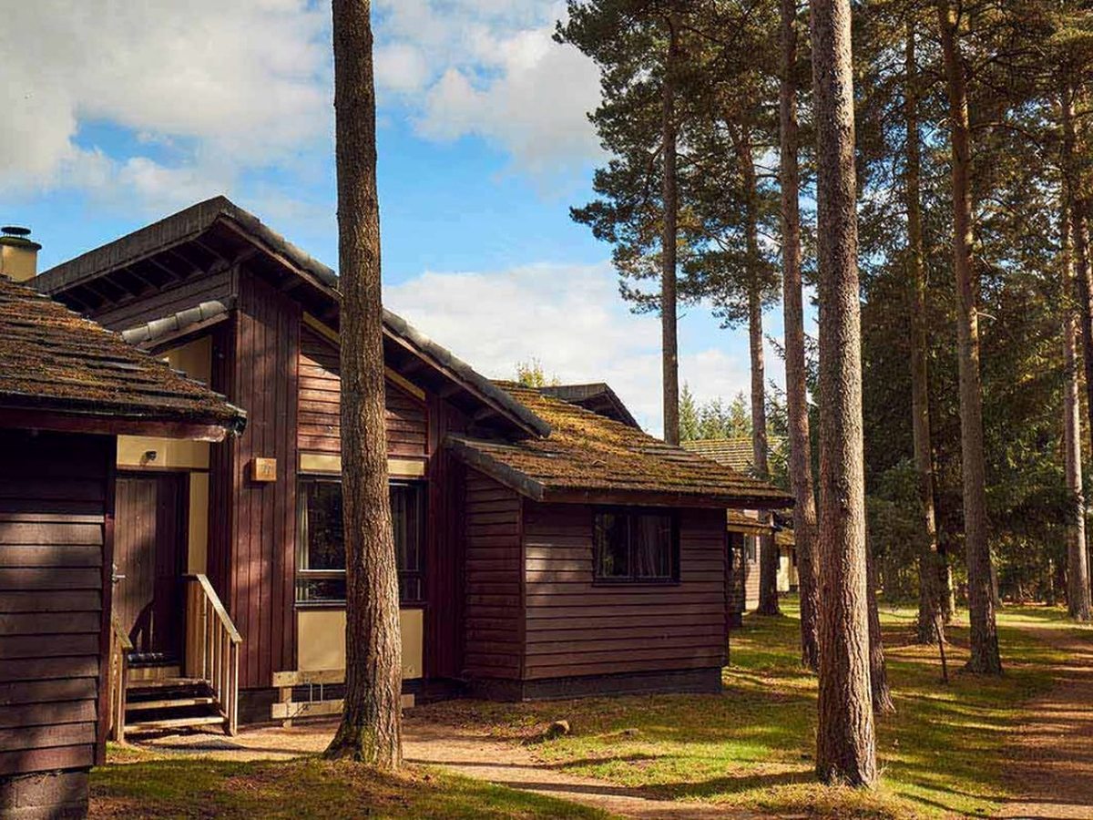 Timber lodges in the forest