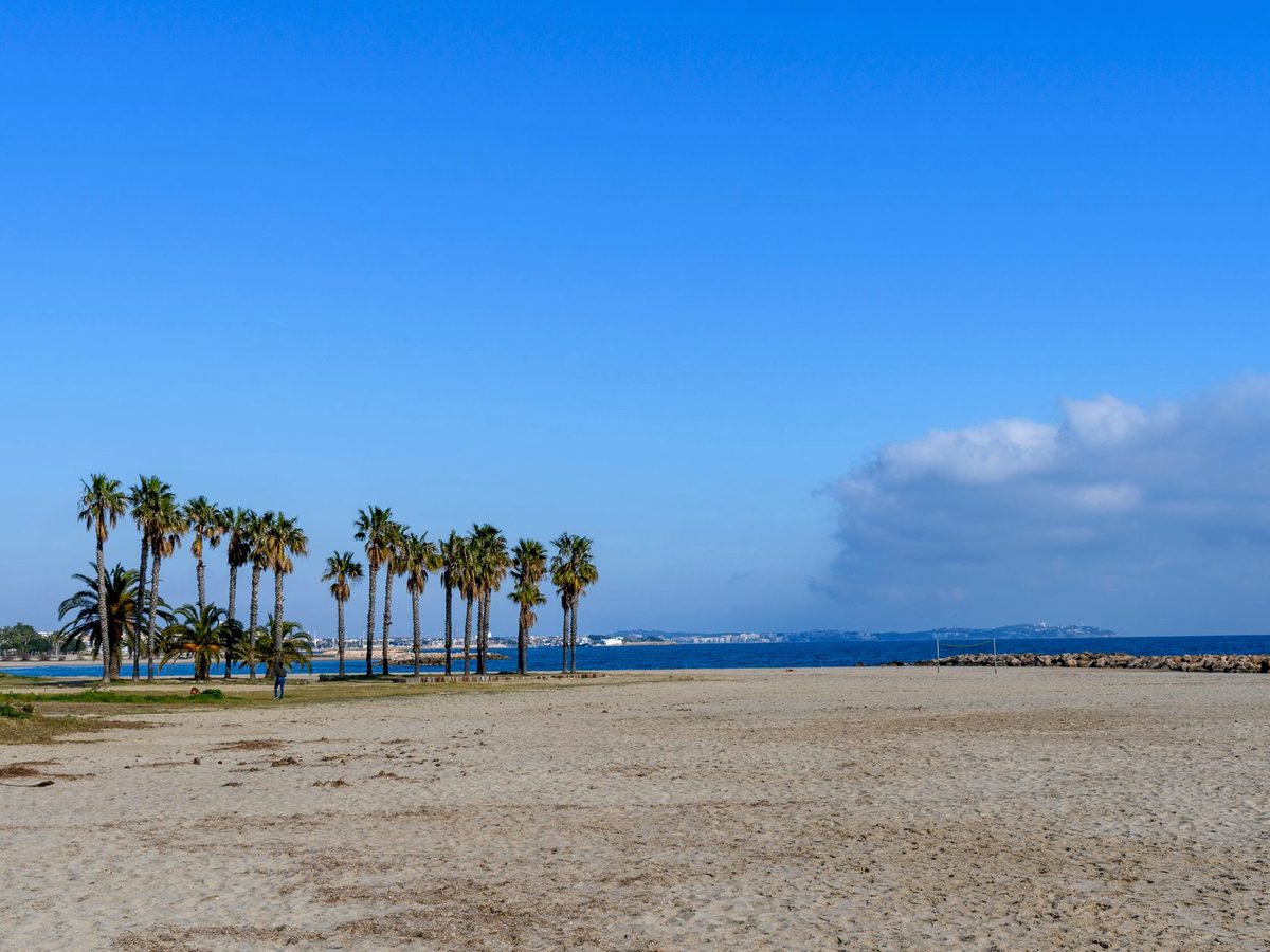 The palm-backed sand at Cambrils