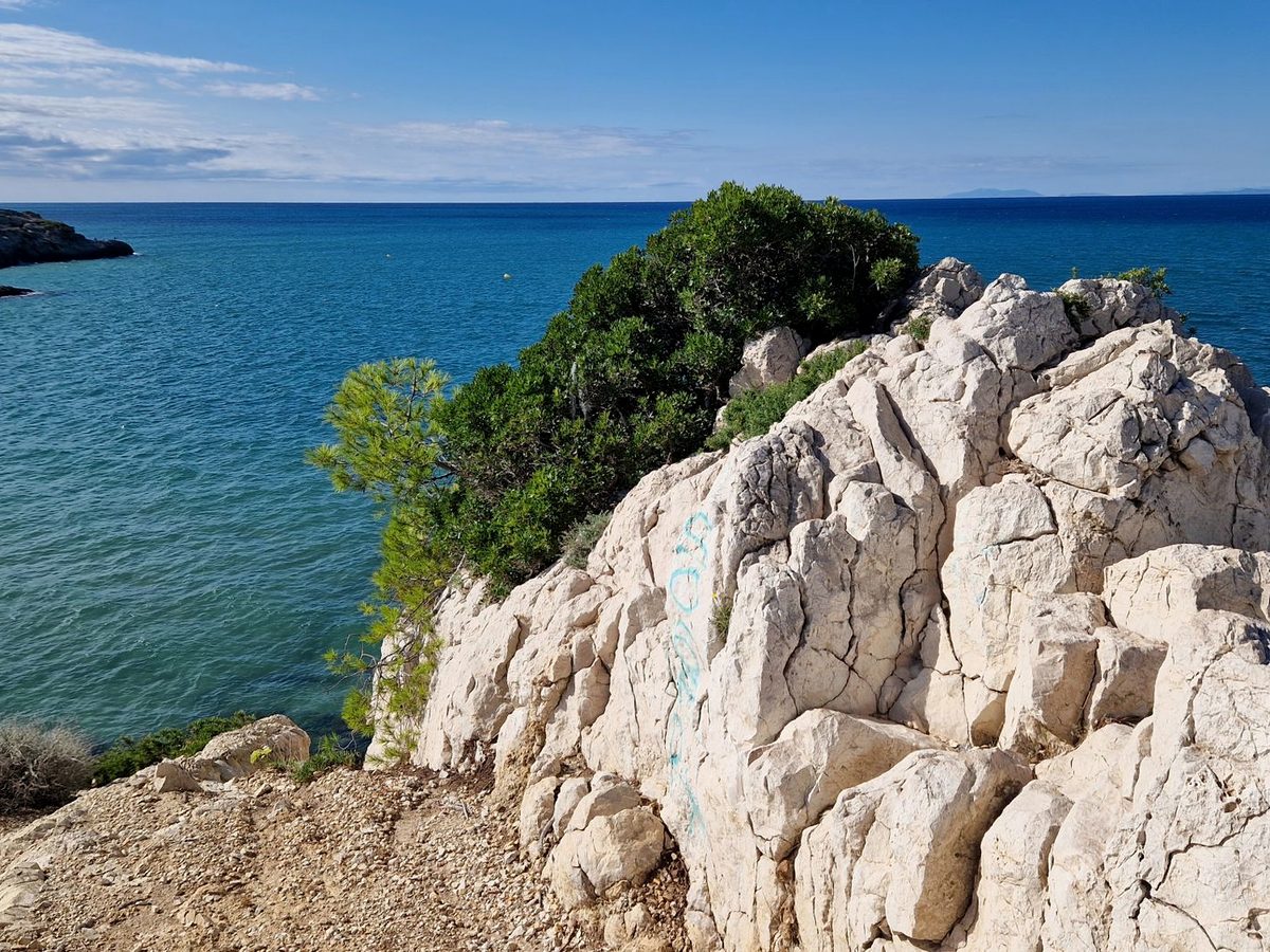 A pine-and-rock cove on Cap de Salou