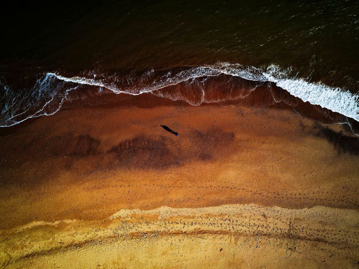 The wide flat sand at Dawlish Warren