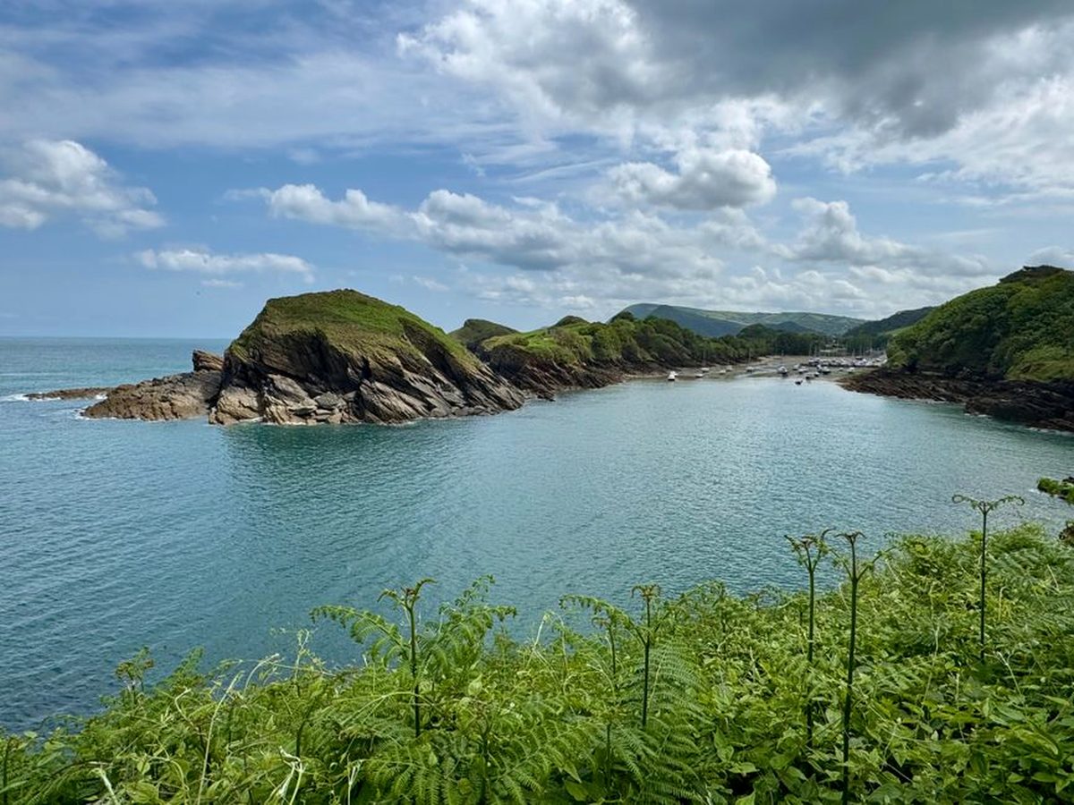 The harbour coast at Ilfracombe