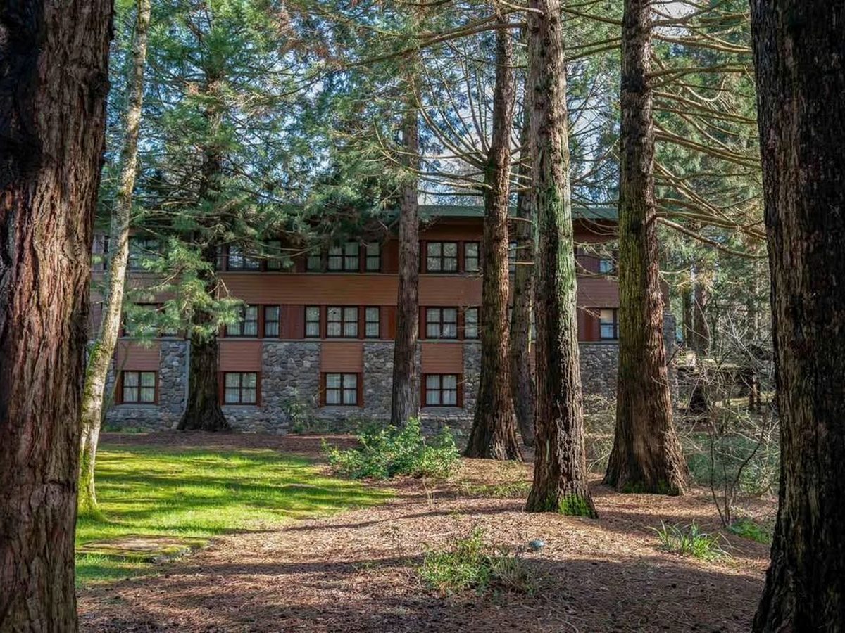 A guest-room wing of Disney Sequoia Lodge seen between the trunks of mature redwoods