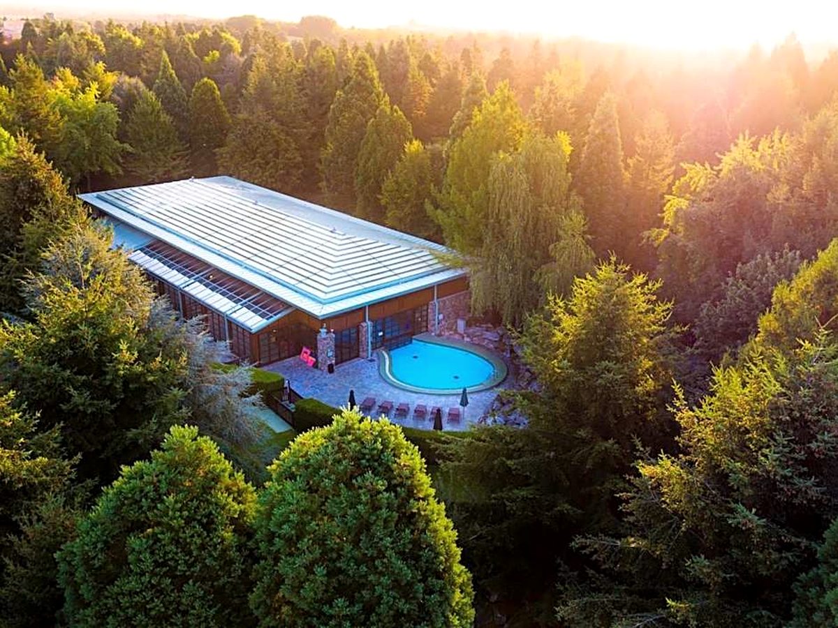 The Quarry Pool building at Disney Sequoia Lodge from the air, its glass roof in a clearing among the trees with the outdoor pool alongside