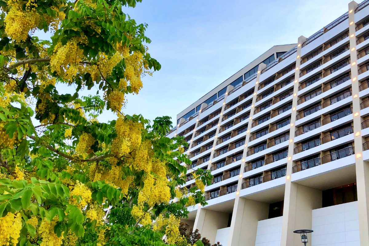 The sloping face of the A-frame Tower at Disney's Contemporary Resort, rows of balconies rising against a blue sky, framed by a yellow-flowering tree