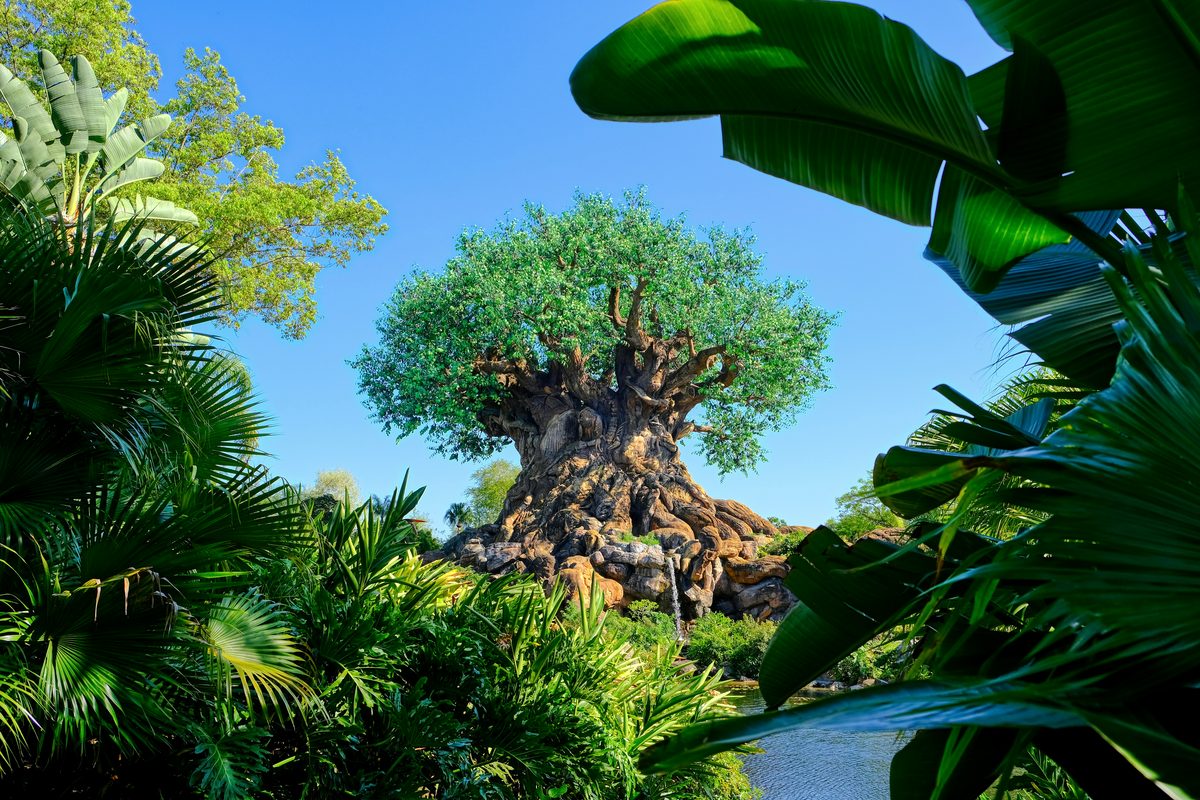 The Tree of Life at Animal Kingdom framed by jungle planting, its carved trunk and wide canopy of green leaves against a deep blue sky