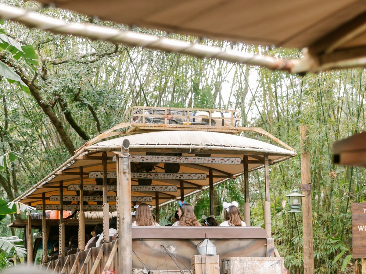 An open-sided safari truck loading at Kilimanjaro Safaris in Animal Kingdom, riders seated under its canvas canopy among bamboo