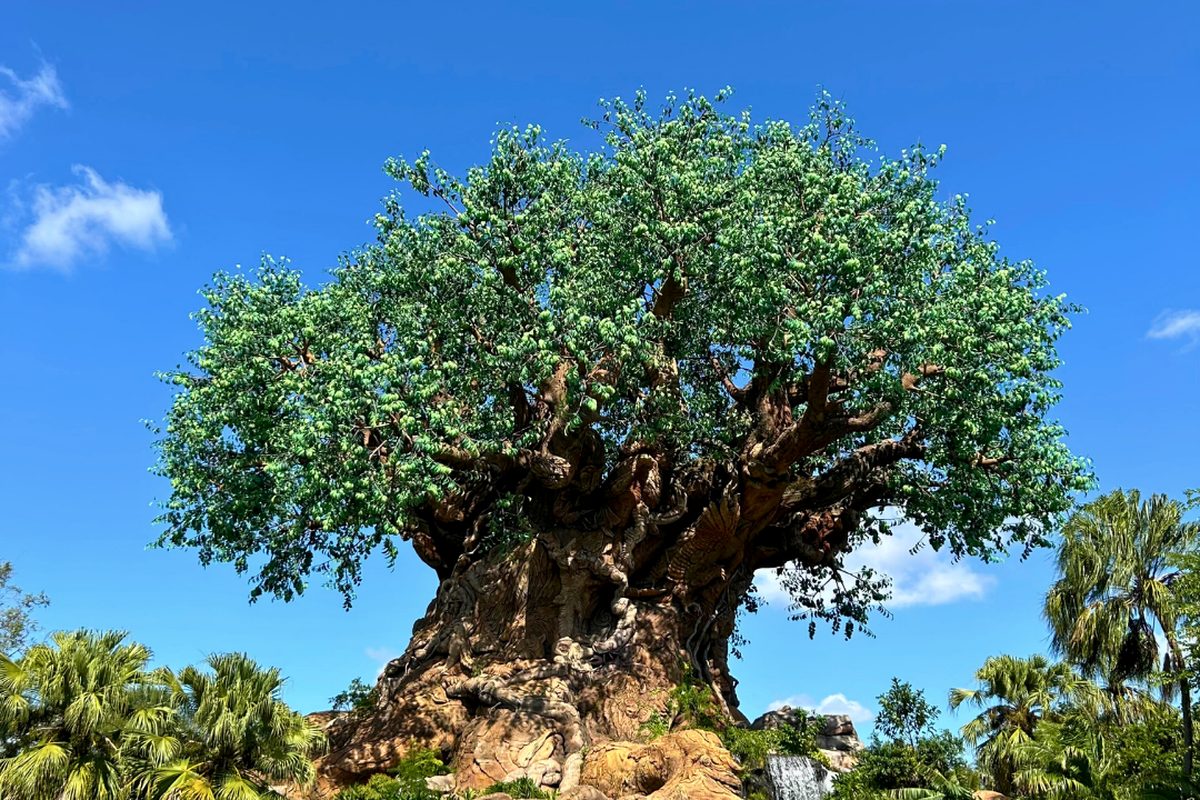 The Tree of Life at Disney's Animal Kingdom, Walt Disney World
