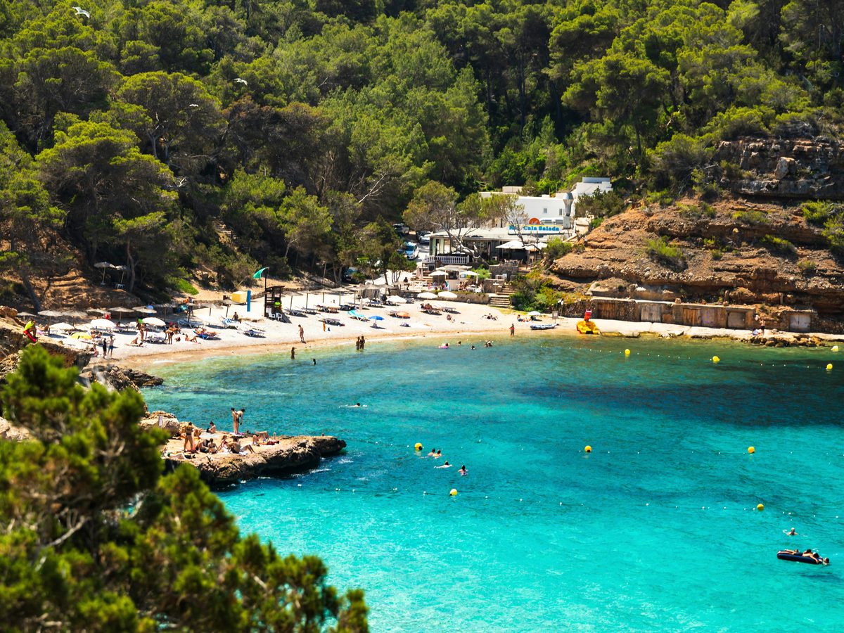 Pines run down to the water at the smaller calas