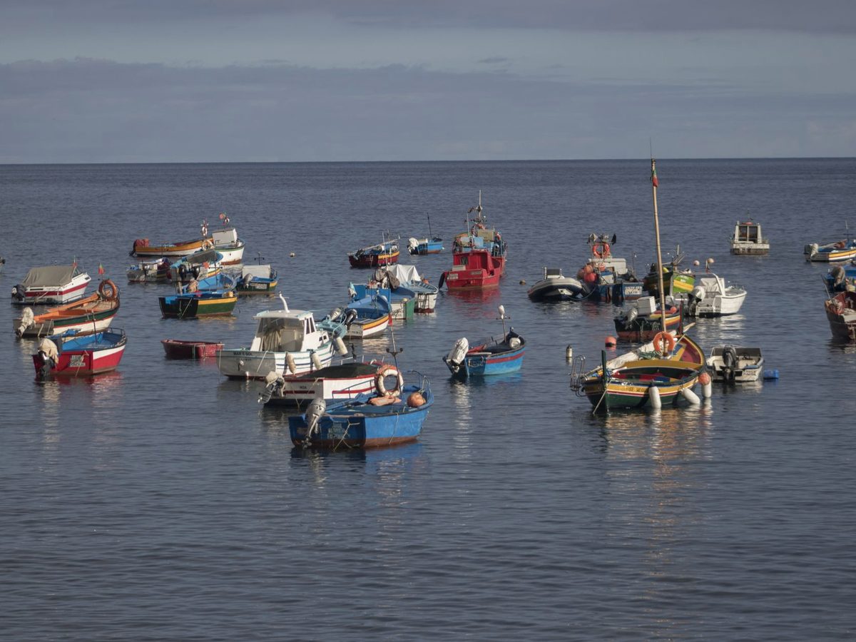 Fishing boats at Câmara de Lobos