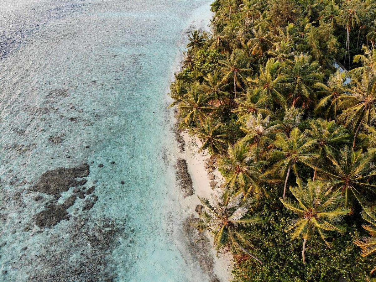 A typical palm-fringed island