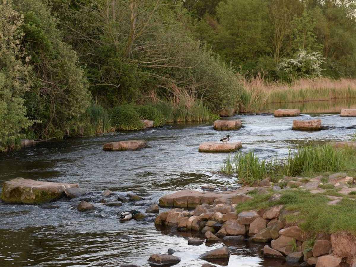 Stepping stones across the river
