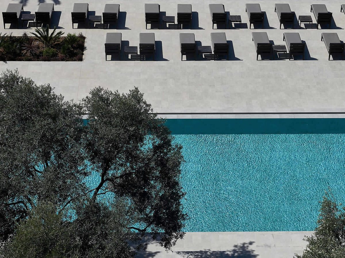 A rectangular turquoise pool with rows of dark sunloungers on a pale stone deck and an olive tree at its edge.