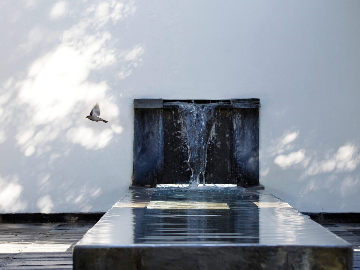 A dark stone water feature set against a whitewashed wall, water running down its face and a bird in flight above.