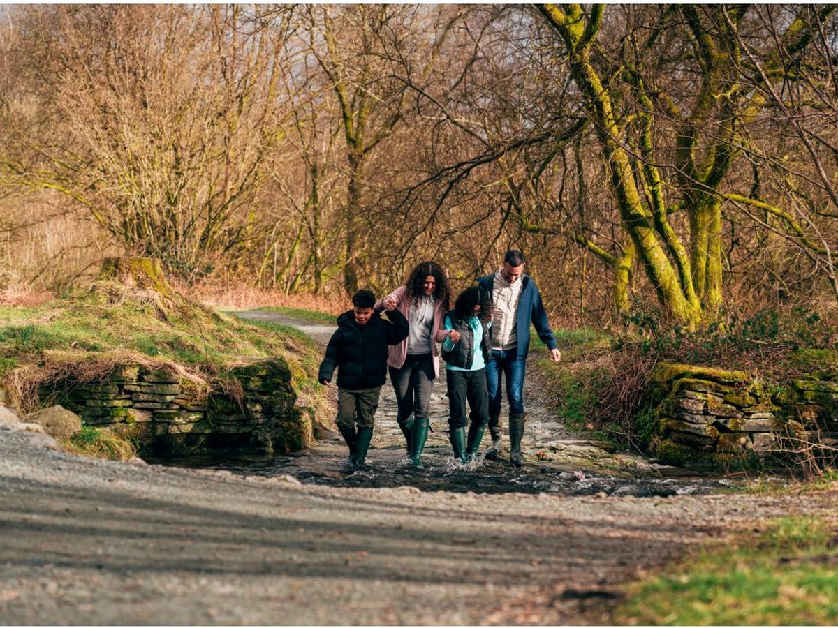 A family of four walking away down a tree-lined gravel path in soft daylight.