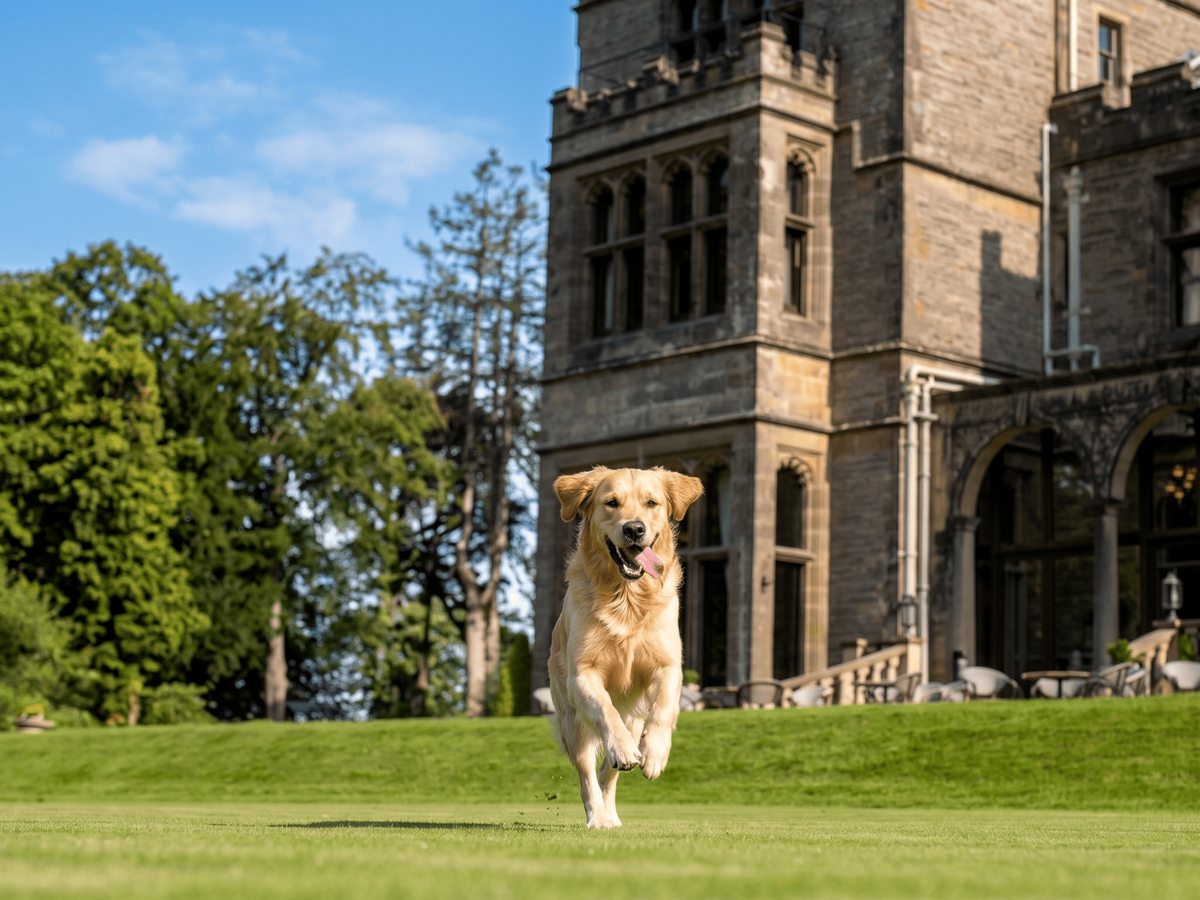 A dog running across a green lawn in front of the hotel's castellated stone wing.