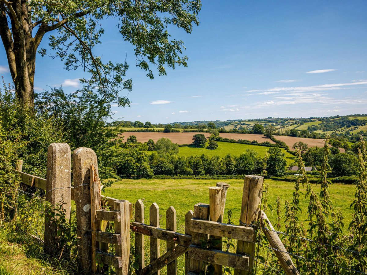 A wooden stile and gate in a hedgerow opening onto rolling green farmland under a blue sky.