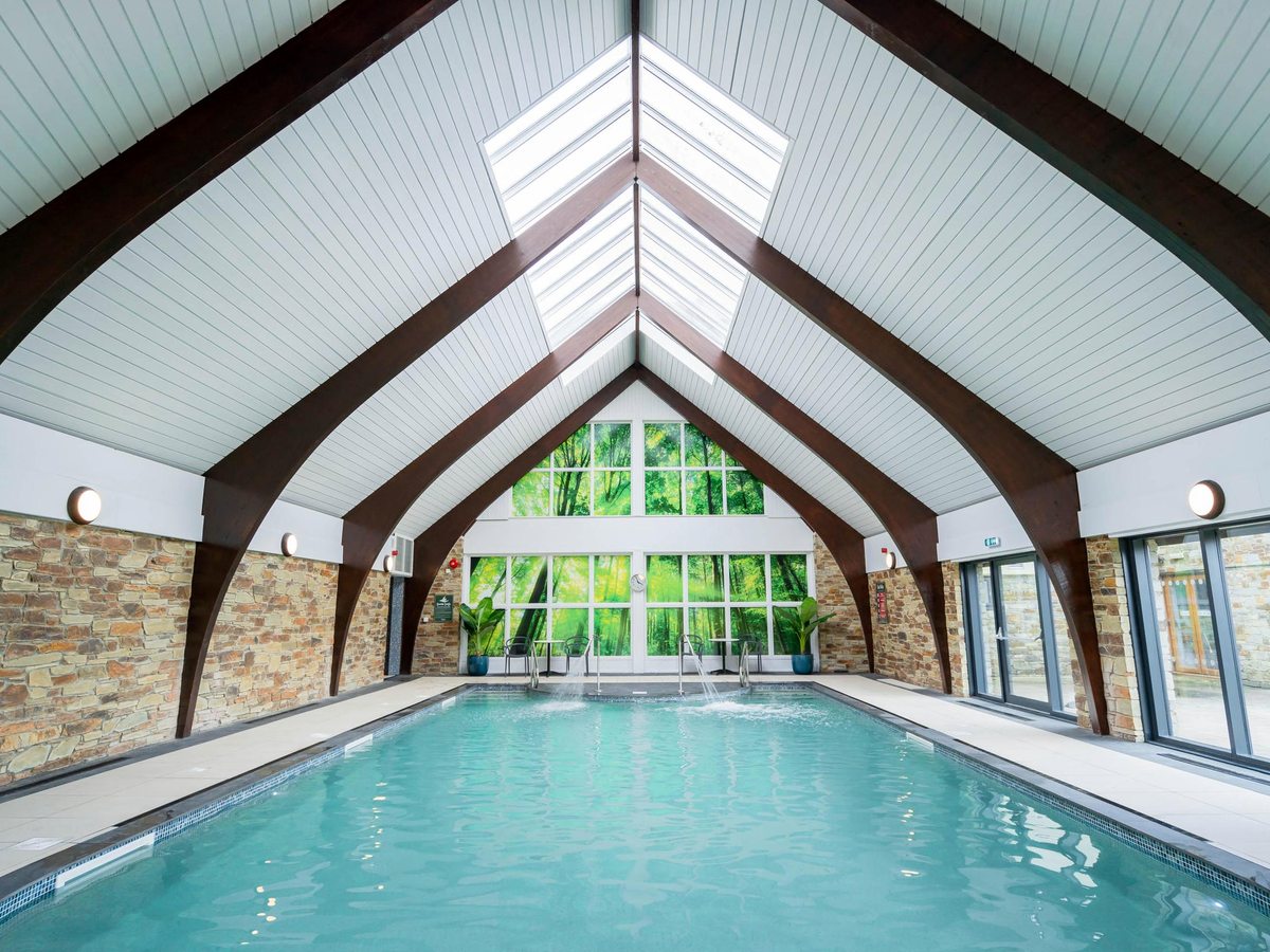 An indoor swimming pool under a high vaulted white-plank ceiling with dark timber arches and stone walls, a tall window with a woodland scene at the far end.