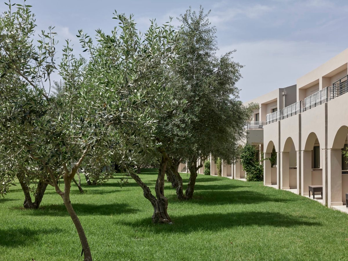 Mown lawn planted with mature olive trees, with a two-storey guest block and its balconies beyond an arched walkway.