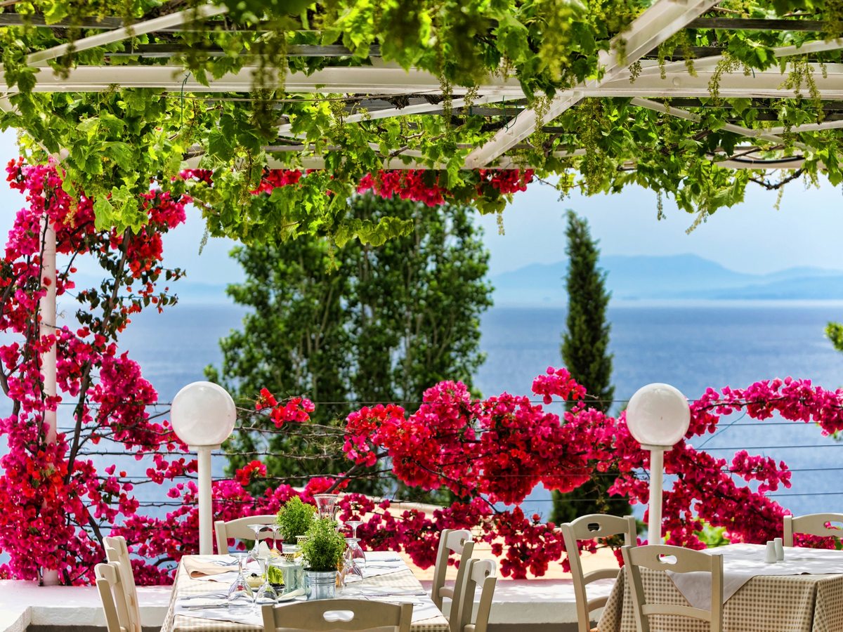 A covered dining terrace framed by pink bougainvillea and a cypress, with white-laid tables and wooden chairs looking out over the bay.