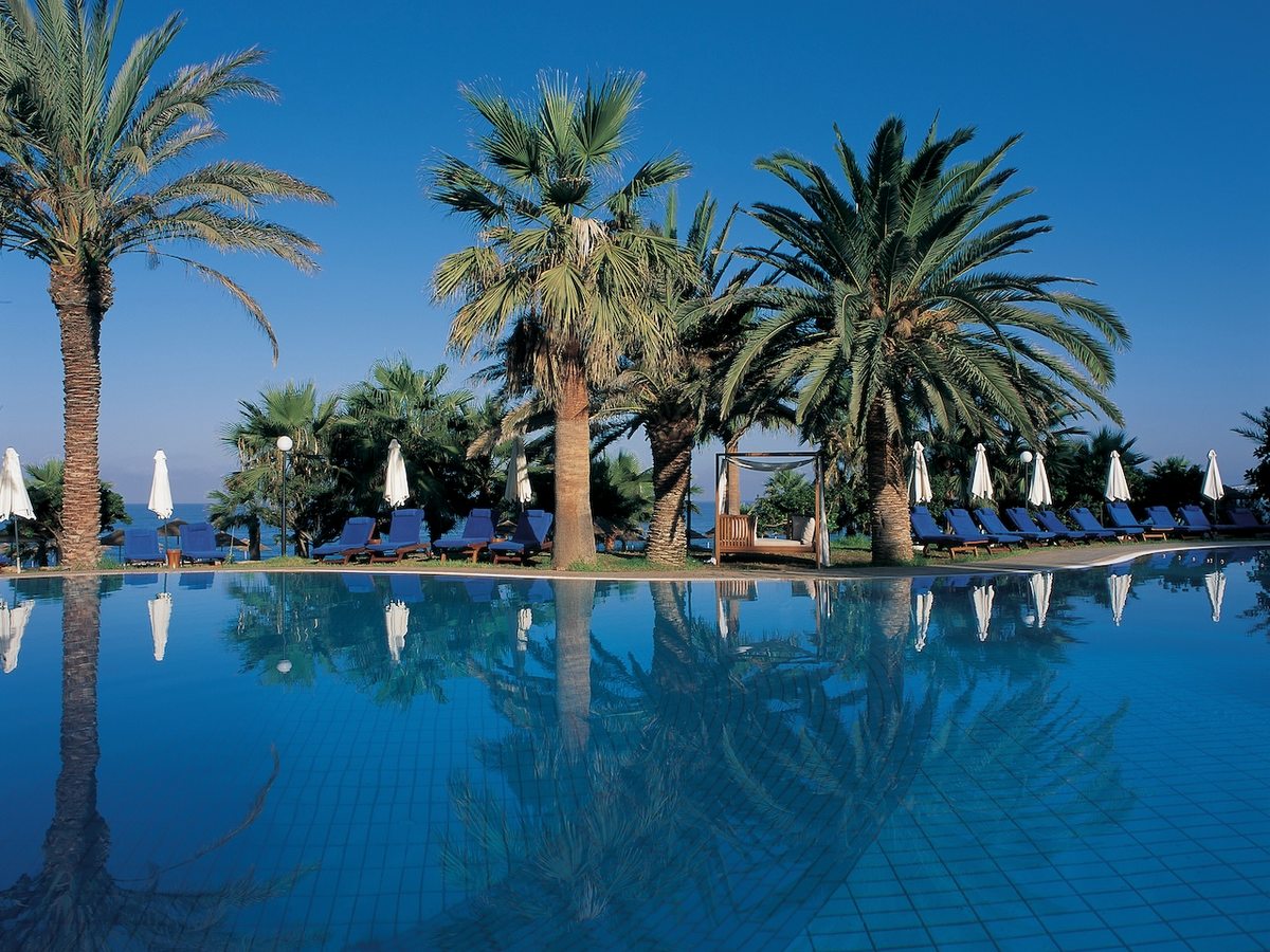 A large lagoon-shaped pool lined with tall palms and blue loungers, the sea beyond.