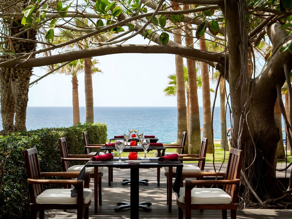 A table set with red napkins on a wooden deck under a large tree, palms and the sea beyond.