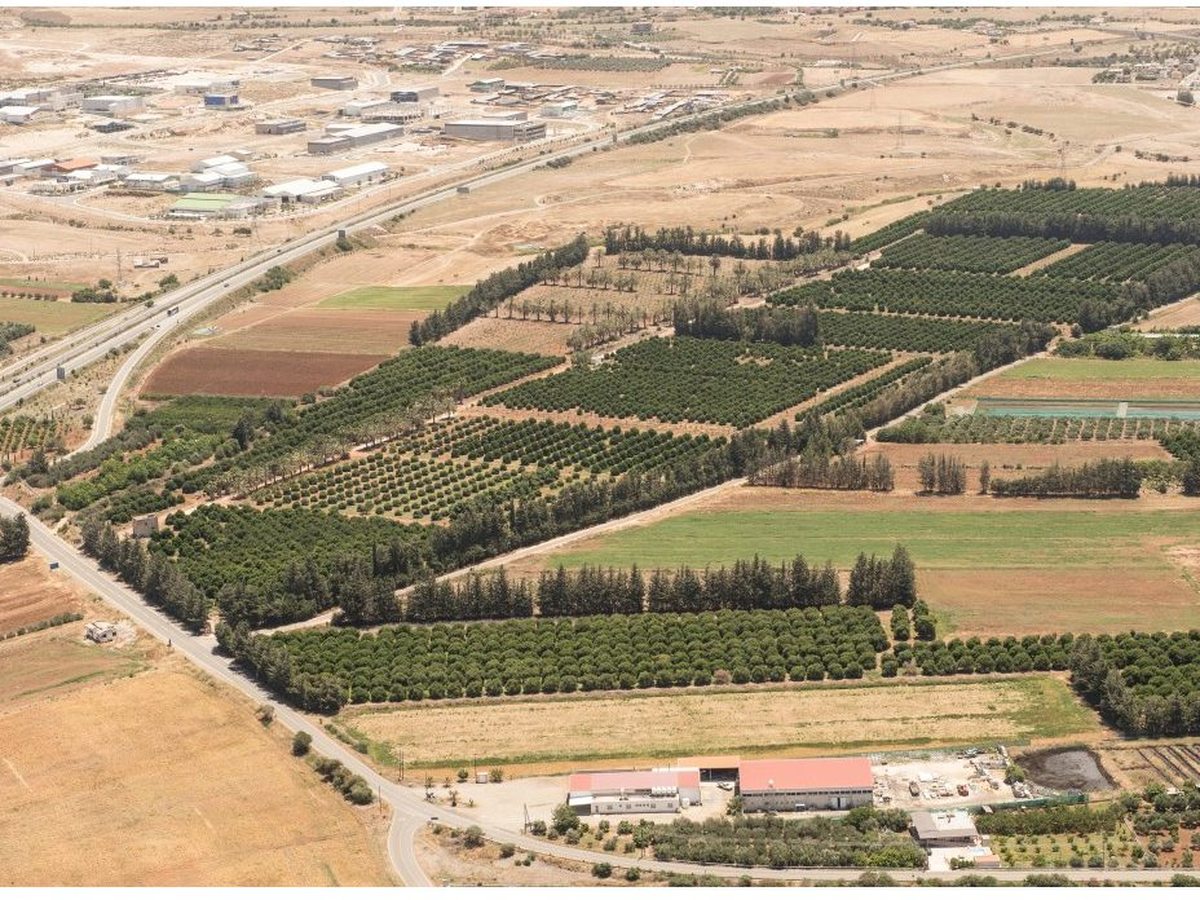 Aerial view of farmland, orchards and roads in the countryside behind the coast.