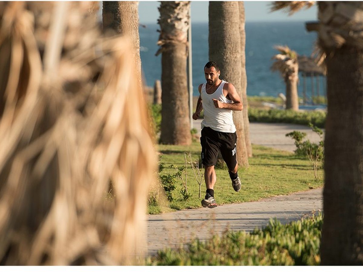 A paved, palm-lined path running along the seafront with a person jogging.
