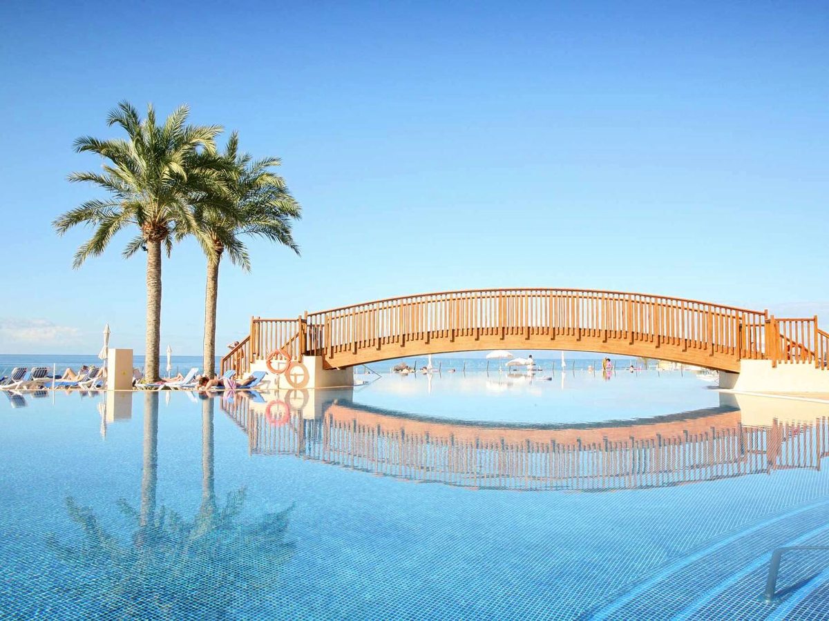 Infinity-edge pool crossed by an arched wooden footbridge, with two tall palms, sun loungers and the sea beyond under a clear sky.
