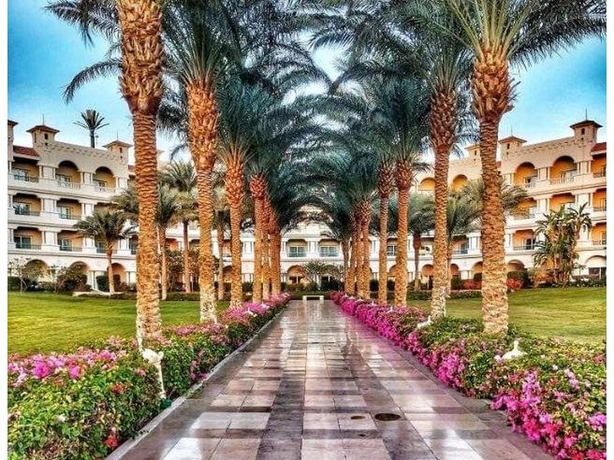 A tiled walkway lined with tall date palms and flower borders running between the resort's accommodation wings.