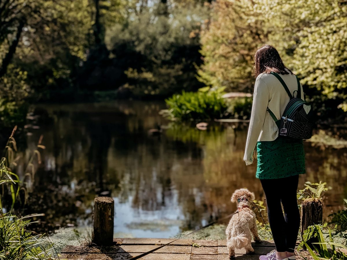 A tree-fringed lake in the Bosinver grounds with a woman and small dog on the bank in dappled sunlight.