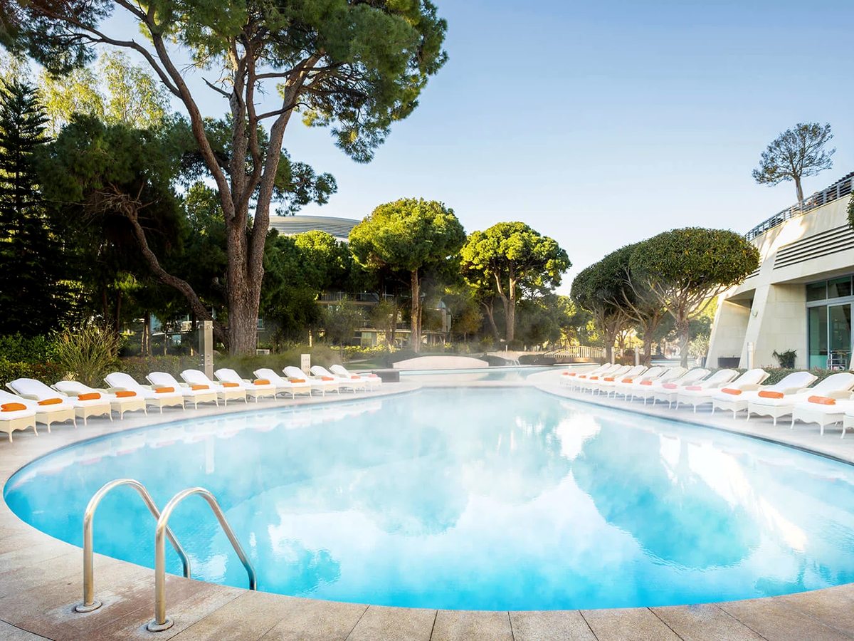 A curved outdoor pool edged with white sun loungers with orange cushions, tall pine trees and a resort building beyond, under a clear sky.