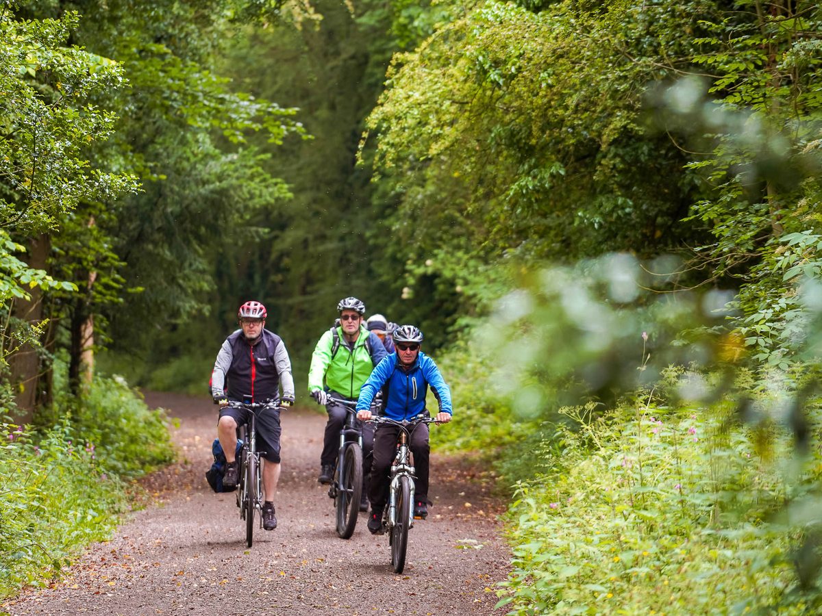 Three adult cyclists riding along a tree-lined gravel trail.