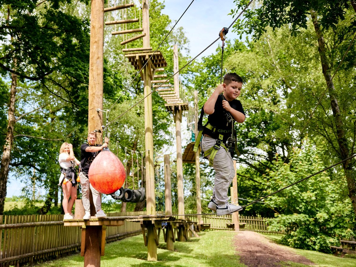 A harnessed child crossing a high treetop ropes course among the trees, with rope bridges and suspended obstacles.