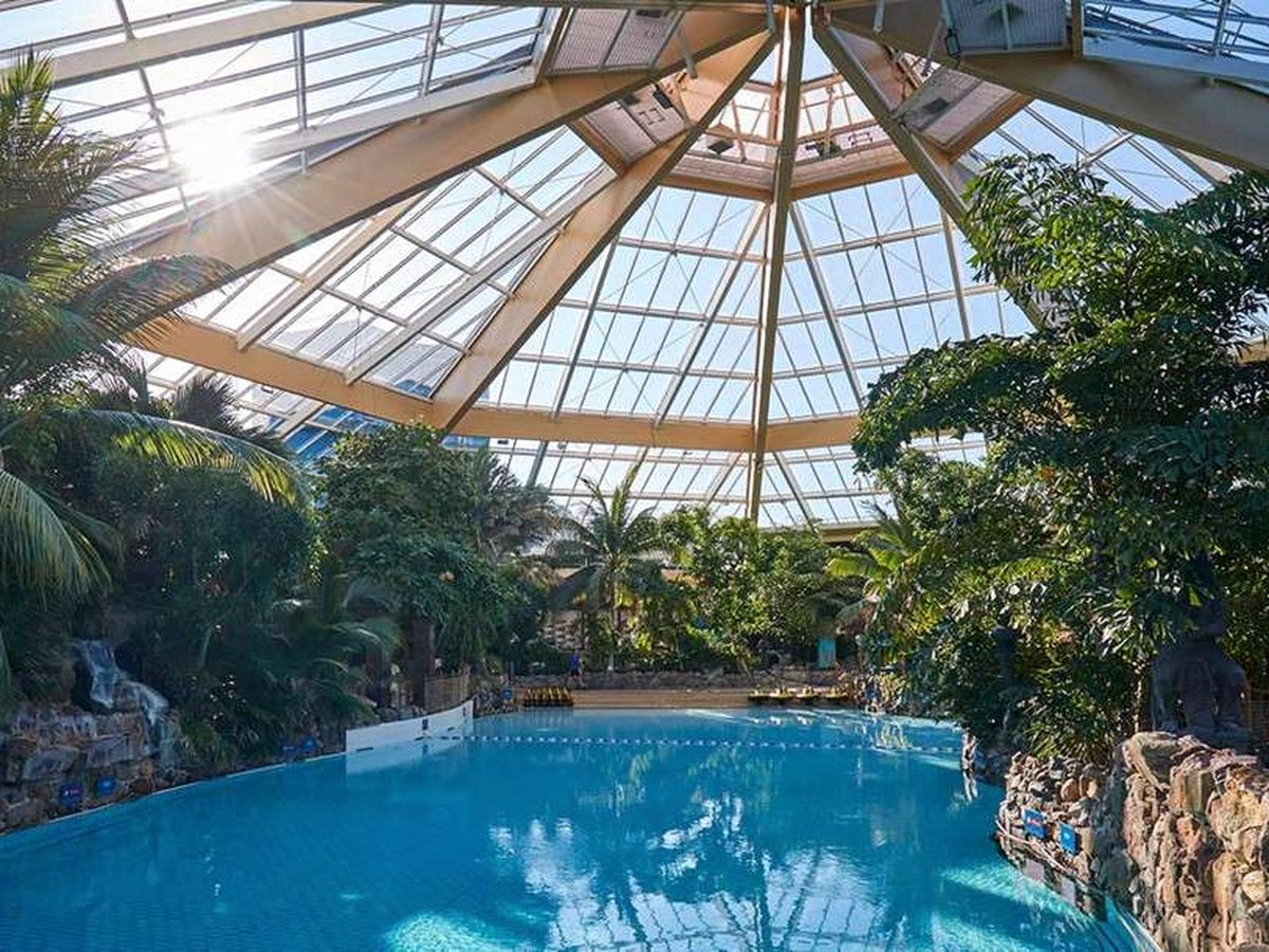 A large blue indoor pool under a glazed pyramid roof, edged with artificial rocks, a waterfall and tall tropical planting.