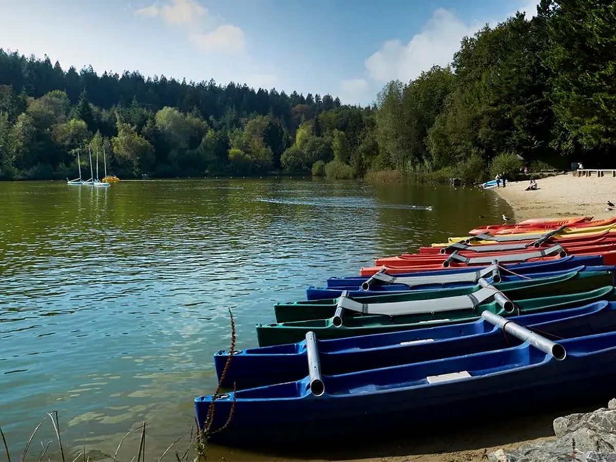 Rowing boats in red, green and blue drawn up along the shore of a wooded lake under a blue sky.