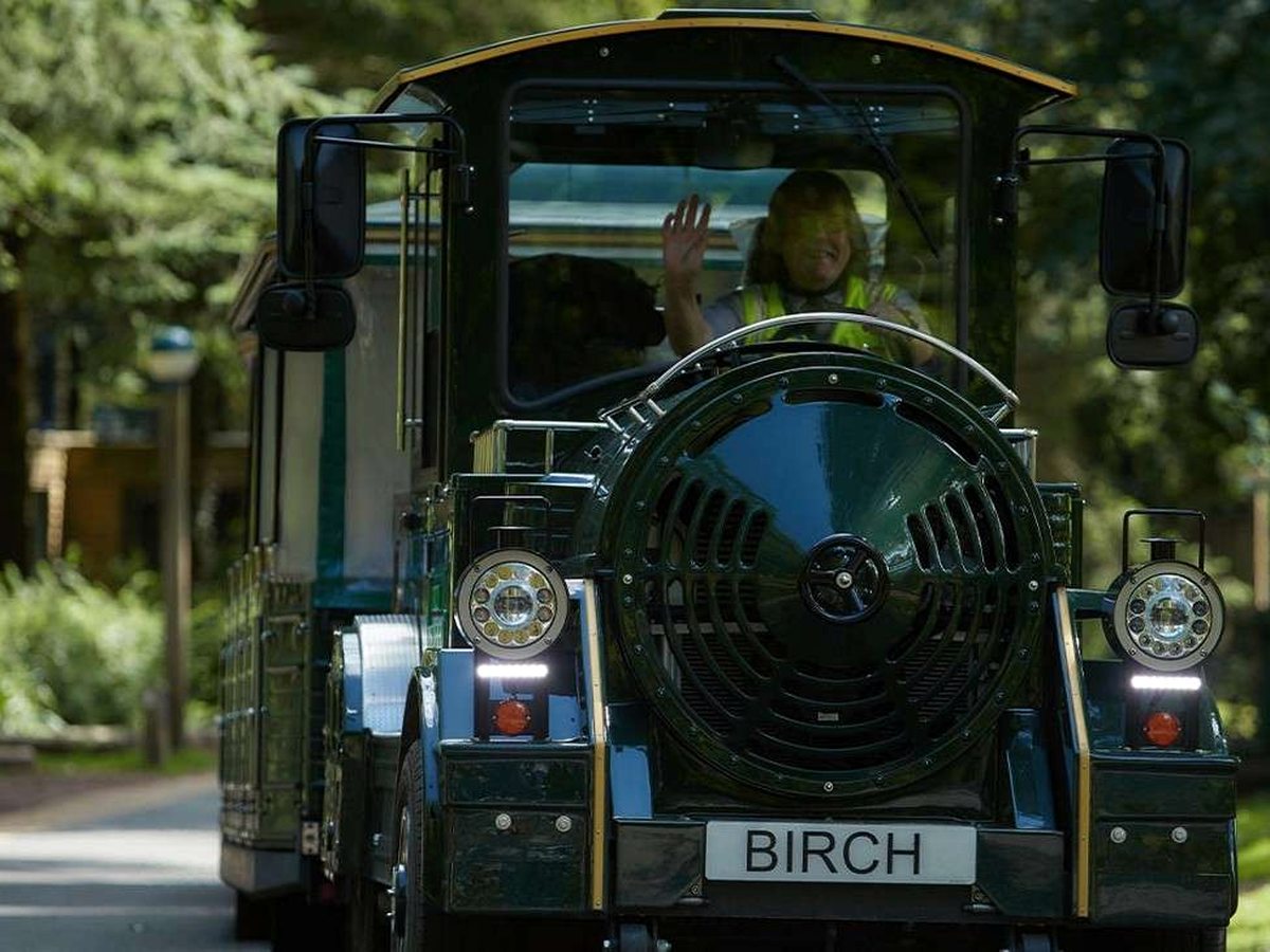 The front of a dark green land train on a forest road, the driver waving from the cab and an open-sided carriage behind.