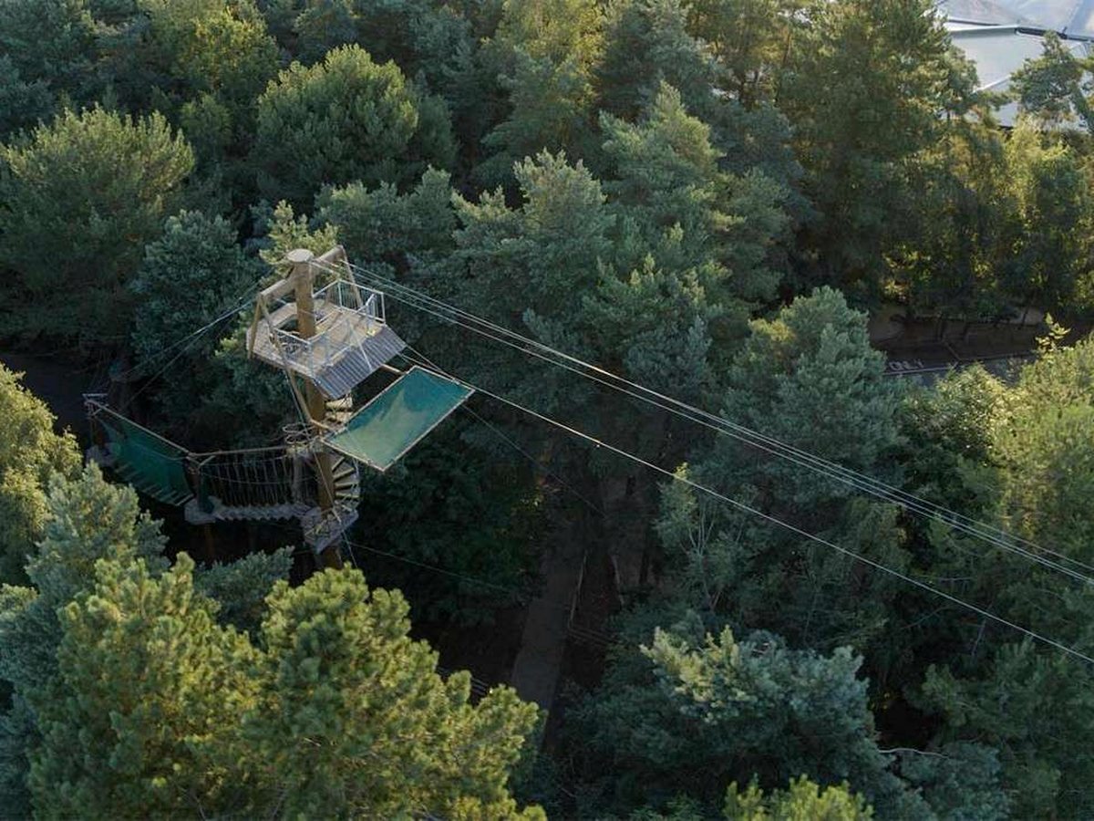 A timber tower platform high in the tree canopy with steel cables running away from it over the forest and safety nets below.