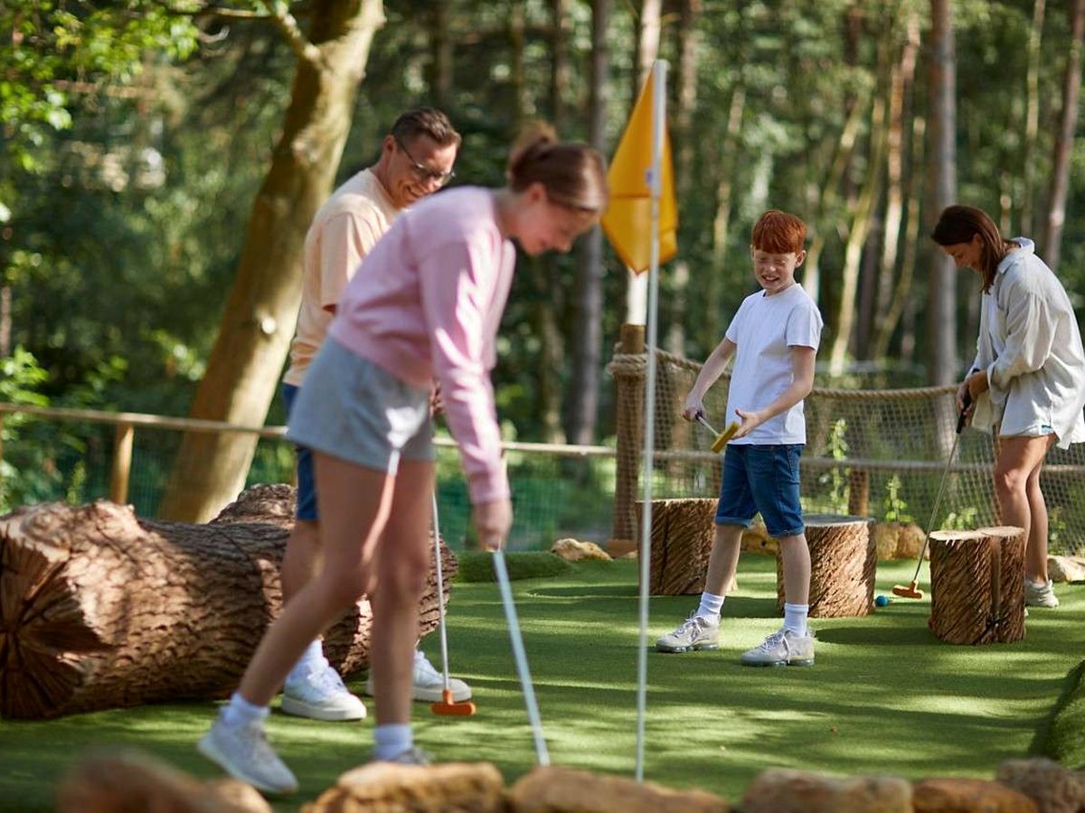 A family putting on a mown grass adventure golf green set among trees, with log and tree-stump obstacles and a yellow flag.