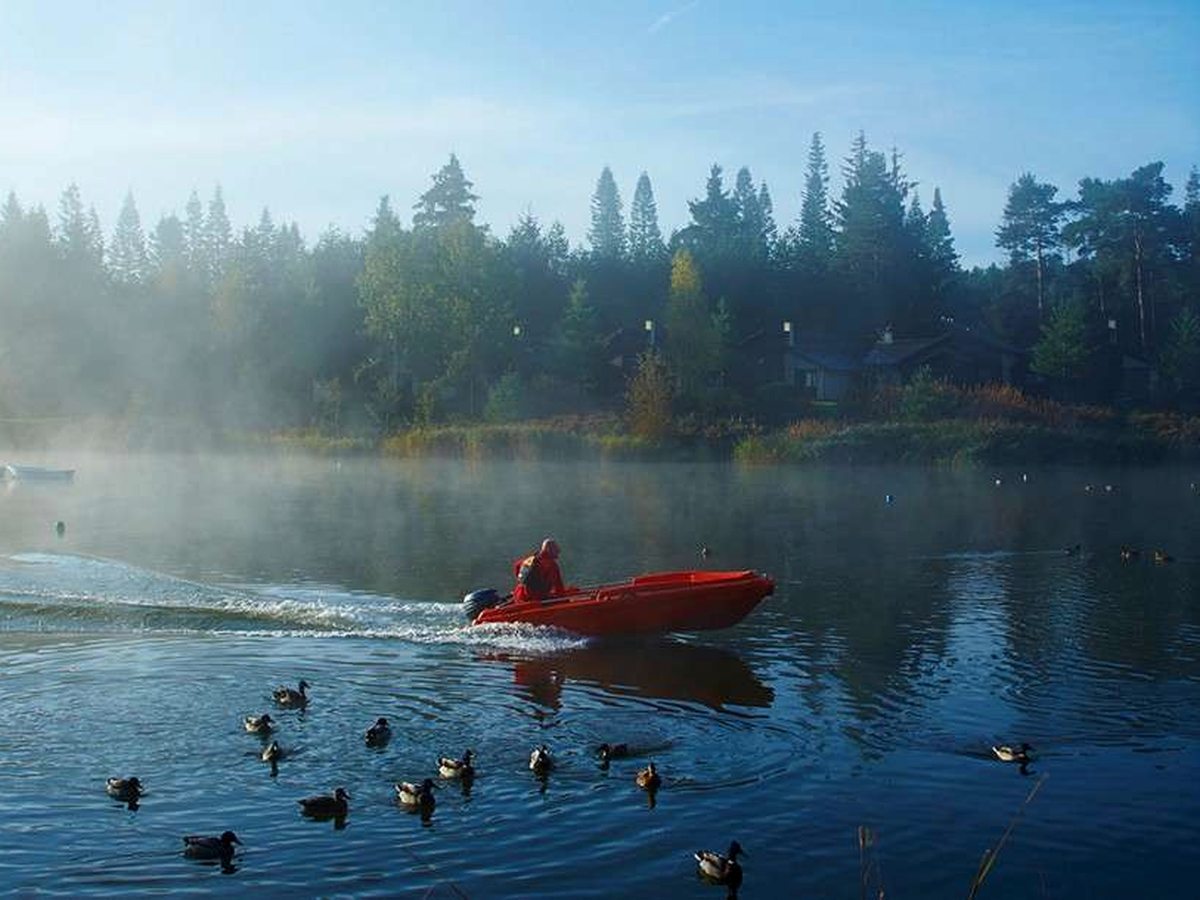 A red powerboat crossing the misty lake with ducks on the water in the foreground and lodges among the pines along the far shore.