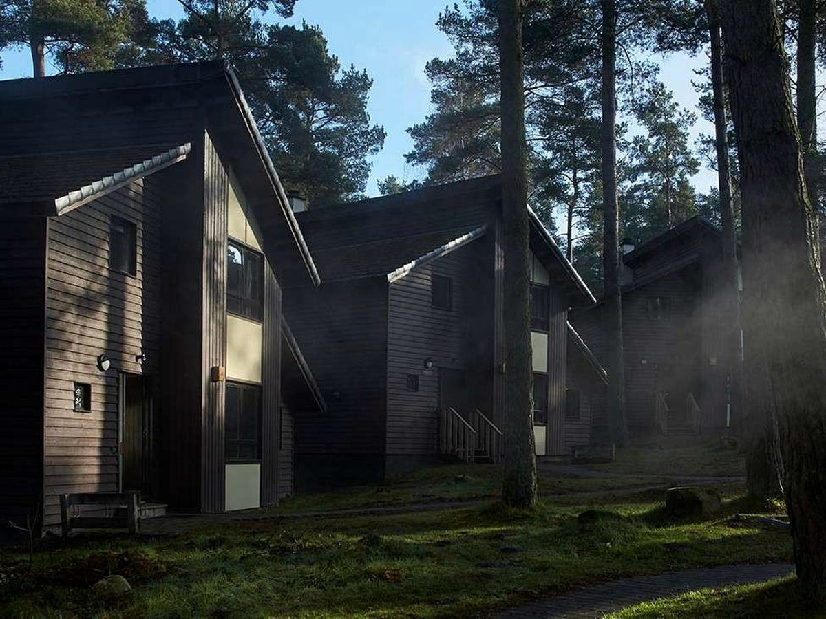 A row of dark timber two-storey lodges with tall glazed gables and external steps up to the doors, standing on grass among pine trees in morning mist.