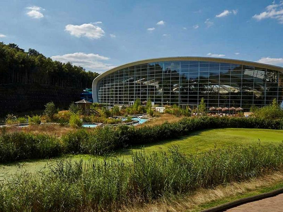 A large curved glass-fronted building with a pale sweeping roof set against pine woodland, with reed beds, a small outdoor pool and paved paths in front under a blue sky.