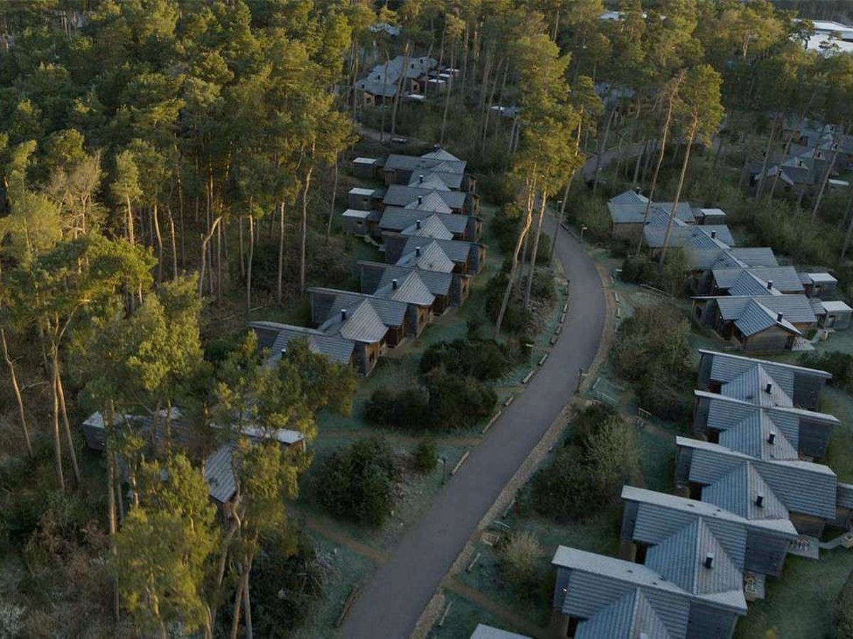Aerial view of rows of grey-roofed timber lodges either side of a narrow tarmac lane winding through pine woodland in low morning light.
