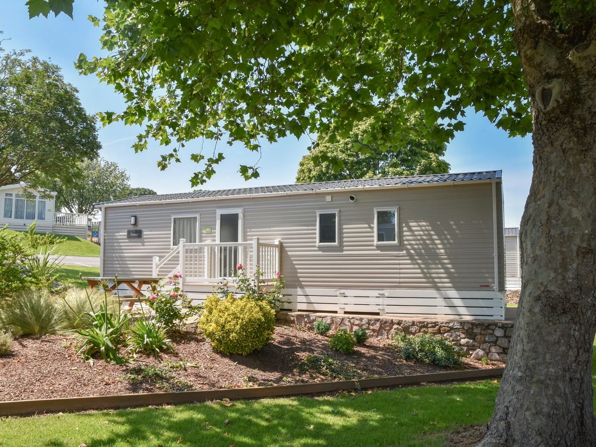 A grey static caravan with a timber deck on a grassed pitch, a large shade tree beside it and more caravans set back behind.