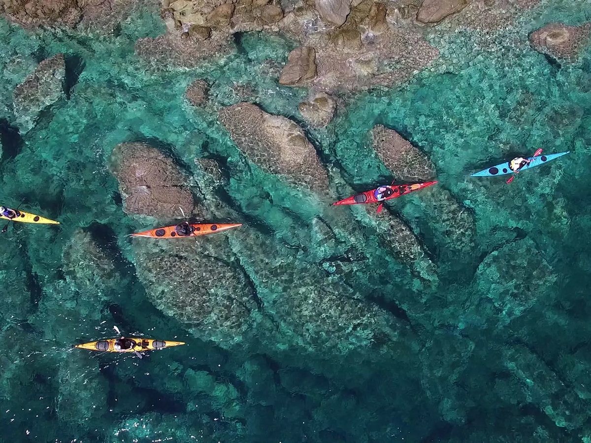 Several sea kayaks paddling over clear turquoise water above a rocky seabed.