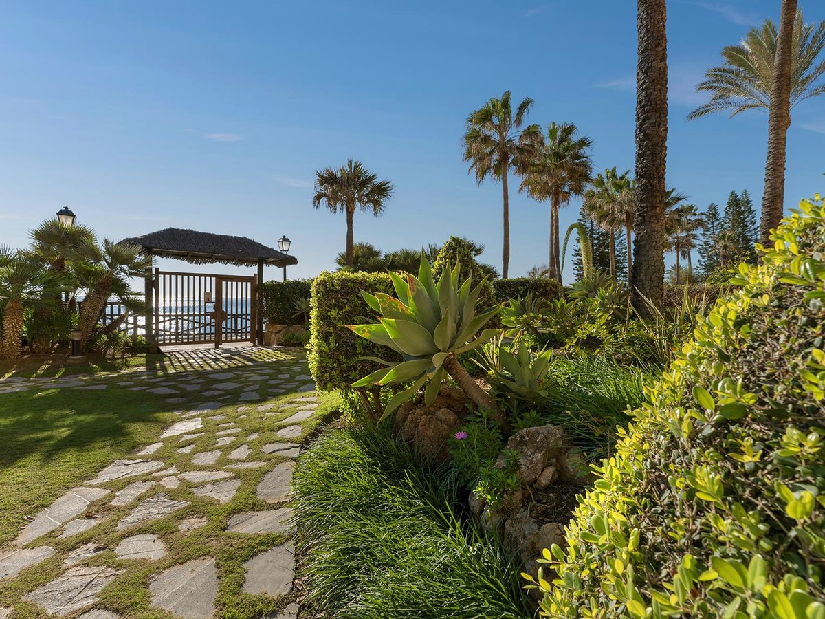 A stepping-stone path winding through landscaped gardens and palms towards a garden gate and the sea beyond.