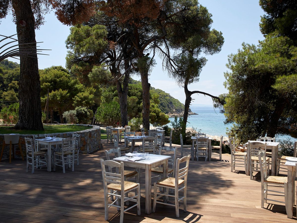 White tables and taverna-style chairs on a deck under tall pines, looking out over the sea.