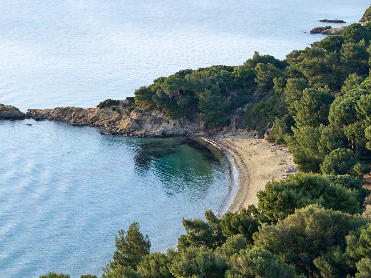 A small sandy cove enclosed by pine-covered slopes, with calm clear water and rocks at the water's edge.