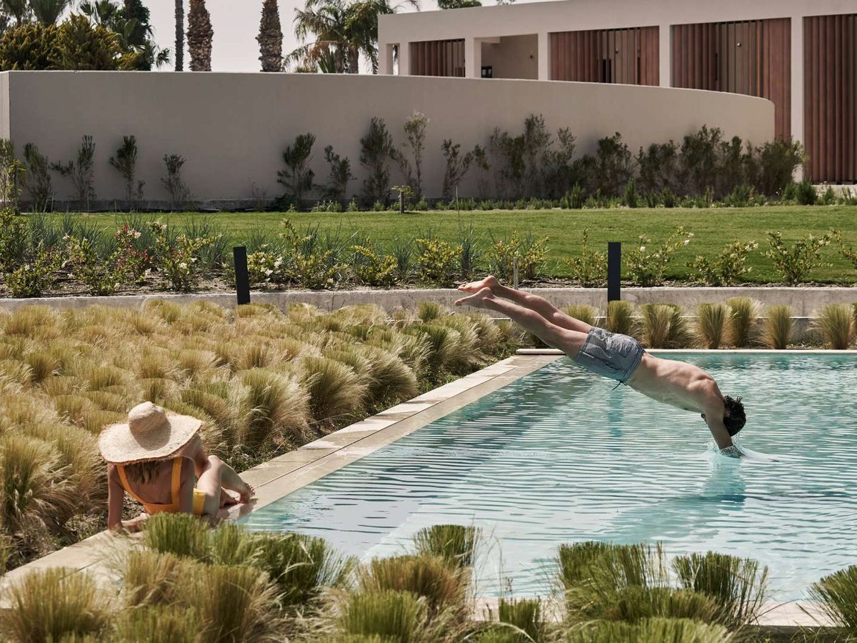 A person diving into a long outdoor pool edged with ornamental grasses and lawn