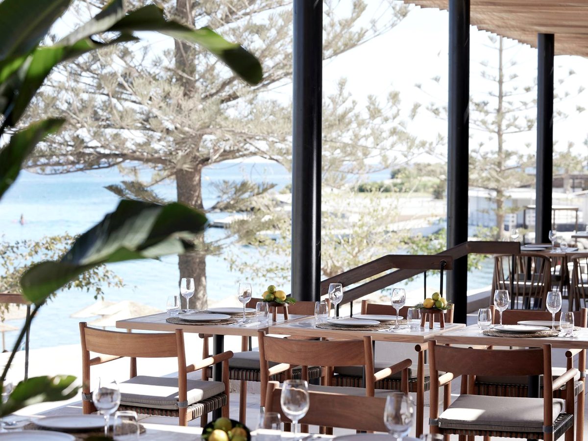An open-air restaurant terrace set with tables and chairs among plants, looking out to the sea